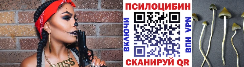 Купить закладки  Стрежевой  Псилоцибиновые грибы Cubensis 